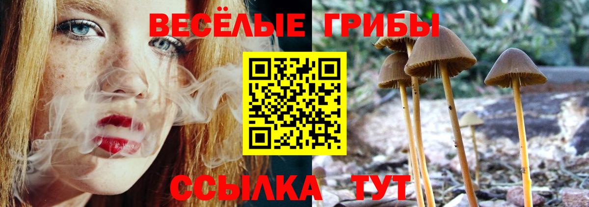 Псилоцибиновые грибы мицелий Коломна