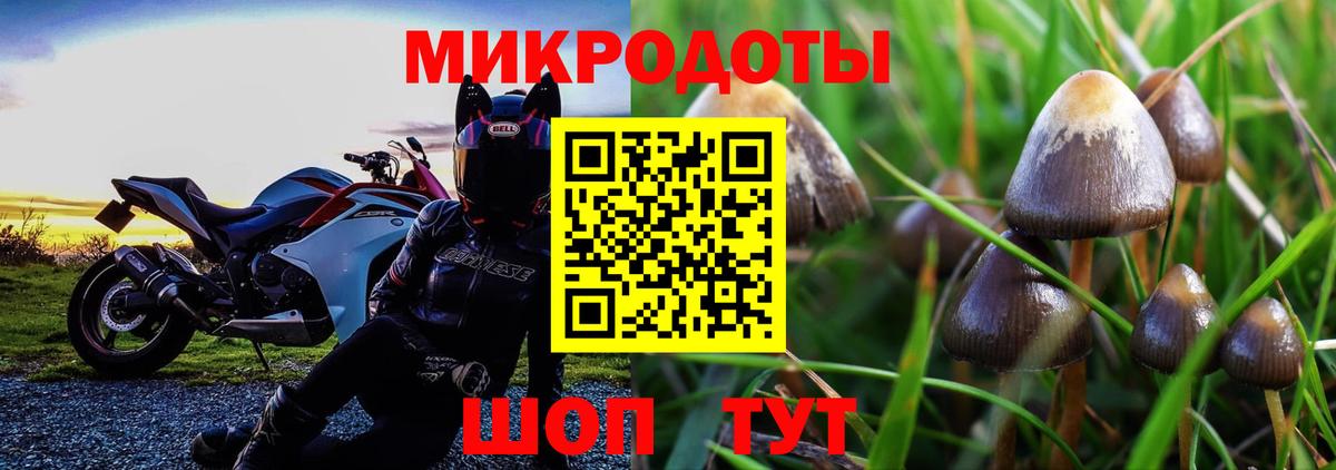 Галлюциногенные грибы Psilocybe  Вход с VPN  Коломна 